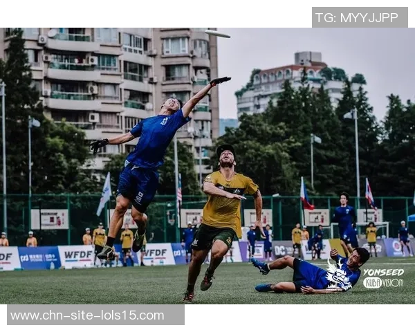 南京飞盘队的团队协作探索与飞盘运动的魅力结合之旅
